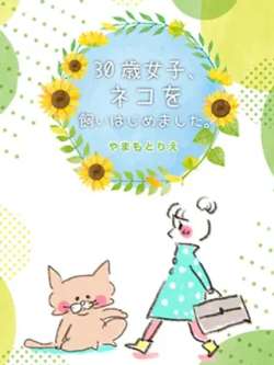 30suidiyiciyangmao-yamamotorie