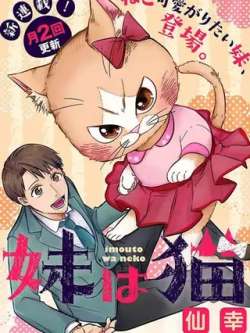 anmeishimao-xianxing