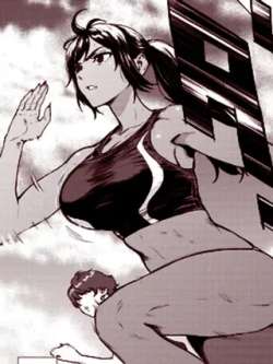 bubiandeshiwu-maojingyasuyuki