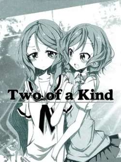 c94twoofakind-liumin