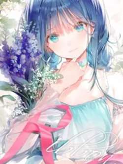 c97ribbon-dsmairu