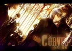 corvus-akewenhua