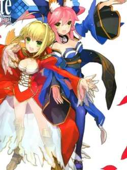 fateextrahuaji-typemoon