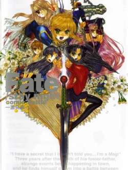 fatestaynightjitupian-zhongcunbowen