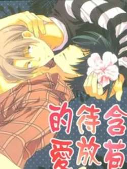 hanbaodaifangdeai-zhongnozomu