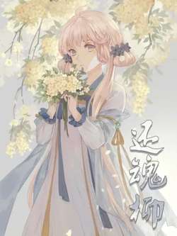 huanhunliu-aviva