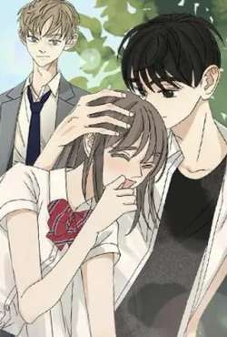 lianaixinshou-dd