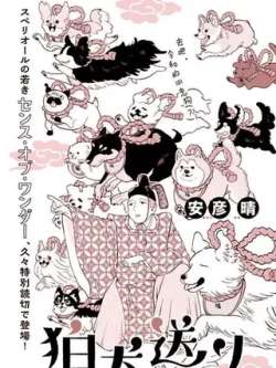 paiqianpoquan-anyanqing