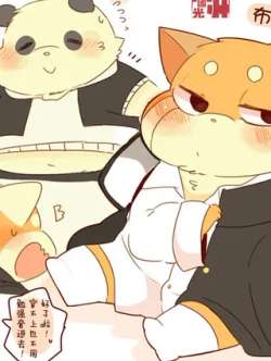 pandajunheleisajun-hiyaku