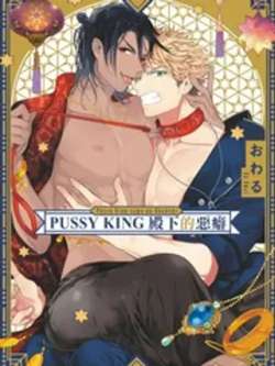 pussykingdianxiadeepi-owaru
