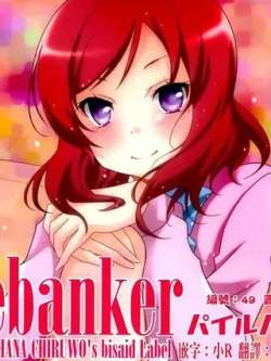pylebanker-fenghuatiruwo