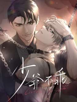 shaoyebuguai
