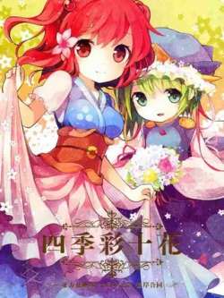sijicaishihua-bianzuhetongqihua