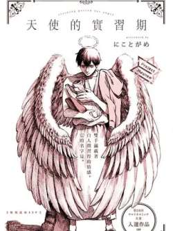 tianshideshixiqi-nikotogame