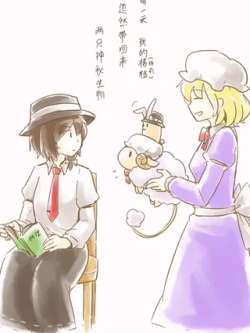 tuerlianziyumeiliyang-jdragon
