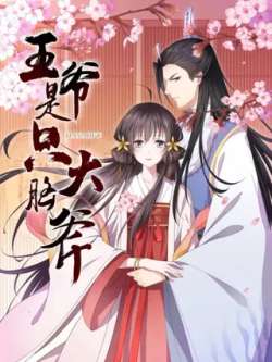 wangyeshizhidanaofu-akewenhua