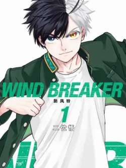 windbreakerfangfengling-ts337235