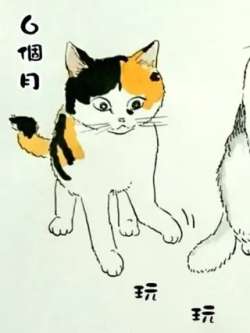 wocengjingjutaoyanmaolaide-zhenzaoguiwu