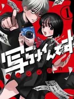 youguipaibudao